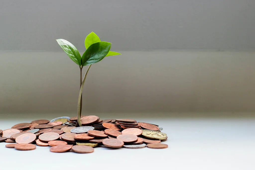 la tua idea con il crowdfunding cresce